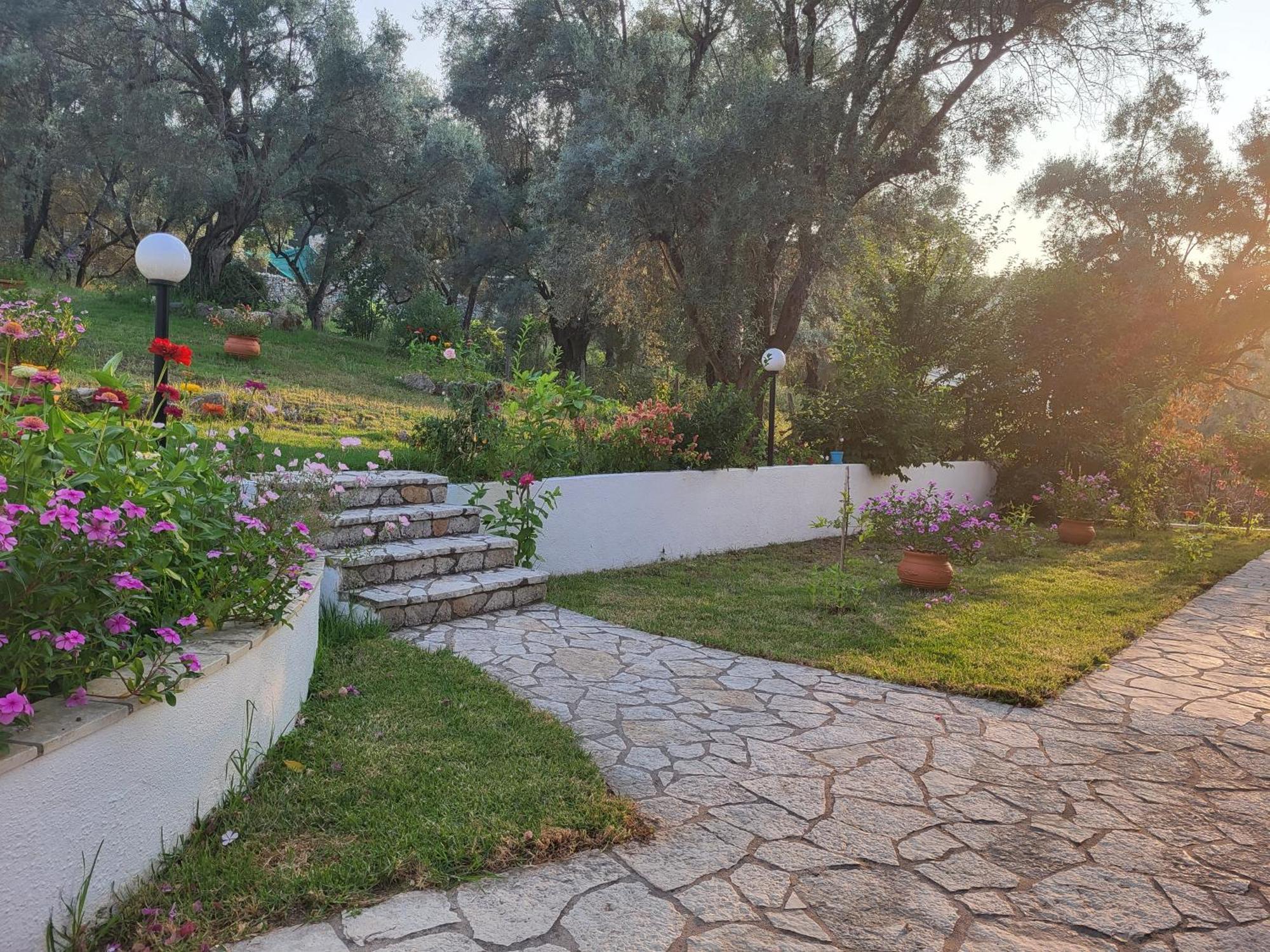 Lefkáda Dimitra Studios المظهر الخارجي الصورة